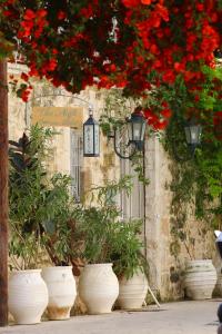 a group of white pots filled with red flowers at The Aigli in Lefkada