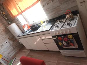 una pequeña cocina con fogones y fregadero en Lo de fernando 5 en Río Gallegos
