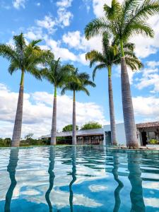 um grupo de palmeiras numa piscina em Hotel Chale Lagoa Dos Ingas em Martins