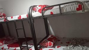 a bunk bed in a room with two bunk beds at Affordable bedspacer good for 8 with breakfast in Clarin