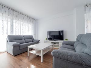 a living room with two couches and a tv at La Atalaya in Las Navas del Marqués