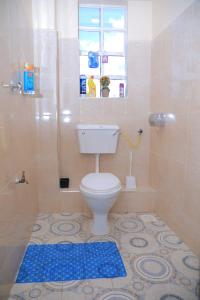 a bathroom with a toilet and a shower with a window at Apartment in kisii Milimani in Kisii