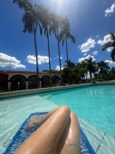 ein Personenkreuz in einem Pool mit Palmen in der Unterkunft Villa Aratoca suíte presidencial in Garça