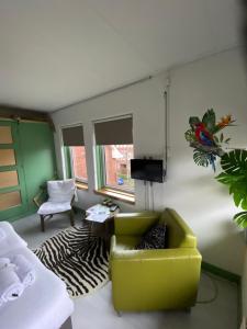 sala de estar con silla verde y sofá en Stee in Stad en Groninga