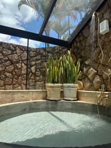 a hot tub with two potted plants in front of a stone wall at Villa Aratoca suíte presidencial in Garça