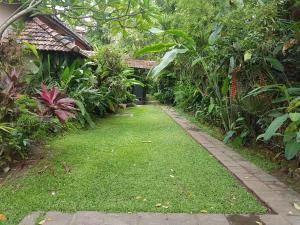 Zahrada ubytování Highbury Colombo