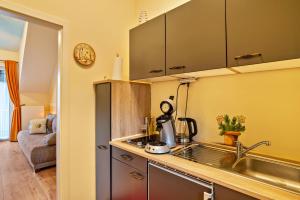 Il comprend une petite cuisine équipée d'un évier et d'une cuisinière. dans l'établissement Schusterjunge Aparthotel A4, à Sasbachwalden