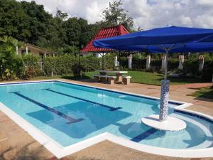 uma piscina com um guarda-sol azul e uma mesa de piquenique em Finca la sharola em Guaduala