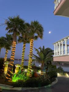 Сад в Villa Lagosta