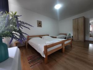 Ein Bett oder Betten in einem Zimmer der Unterkunft Apartmani Sunflower