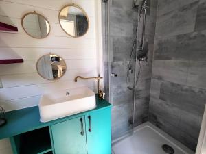 uma casa de banho com um lavatório e um chuveiro em La mini maison dans la prairie em Libin