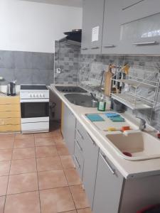 Kuchyňa alebo kuchynka v ubytovaní Macedonia Home + 26 fotografií