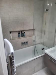a bathroom with a shower with three bottles in it at Standard Villa in London