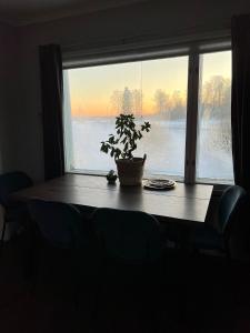 a table with a potted plant in front of a window at Beautiful Big Farm House with Spectacular Meteor Site View in Vaasa