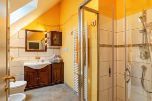 een badkamer met een douche en een wastafel bij Schusterjunge Aparthotel Haus in Sasbachwalden