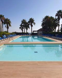 a large swimming pool with blue chairs and palm trees at Casa Johanna, plage et piscine in Moriani Plage