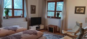 a bedroom with a bed and a tv and windows at Studioferienhaus Herzogstadt-Celle in Celle
