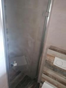 przeszkloną kabiną prysznicową z toaletą w łazience w obiekcie Holiday Home Green House w mieście Batina