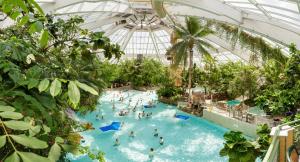 Bazén v ubytování Center Parcs Vossemeren nebo v jeho okolí