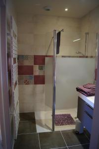 una doccia con porta in vetro in bagno di La Maison de Rochebois, chambres et table d'hôtes, Savoie, France a Champagneux