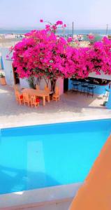 two pictures of a house with pink flowers and a swimming pool at Hotel evasion peche in Fimela