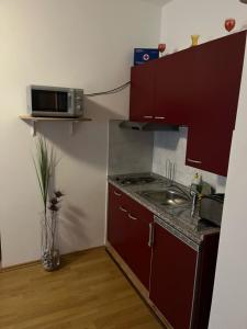 una piccola cucina con lavandino e forno a microonde di Apartments Vunić a Mošćenička Draga