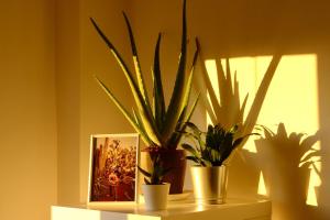 Fotografia z galérie ubytovania Large appartement with great views v destinácii Málaga