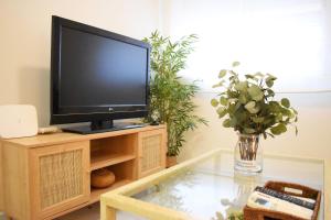 Televízia a/alebo spoločenská miestnosť v ubytovaní Precioso apartamento en el centro de Málaga
