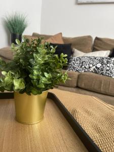 Gallery image of Modern, spacious and Central Location in Aberdare