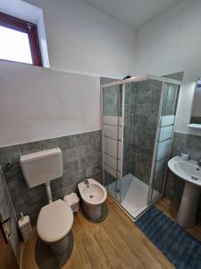 a bathroom with a shower and a toilet and a sink at Case vacanza La Palmas nel centro di Malfa in Malfa