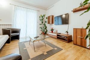 TV a/nebo společenská místnost v ubytování Apartment Oliva with swimming pool