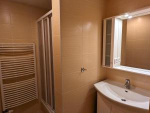 ein Bad mit einem Waschbecken, einem Spiegel und einer Dusche in der Unterkunft Vila Art Tatranská Lomnica in Tatranská Lomnica