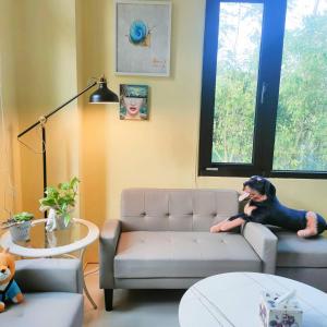 Posezení v ubytování Snail B&B