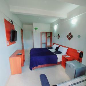 a hotel room with a bed and a television at Madame Lynch Hotel Asuncion in Asunción