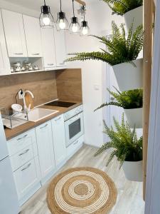 a kitchen with white cabinets and potted plants at Bulgarane House in Govedartsi