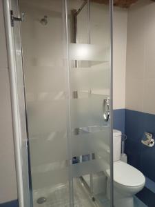 a bathroom with a glass shower with a toilet at Estudio con balcon Plaza España in Barcelona