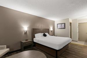 um quarto de hotel com uma cama e uma cadeira em Red Lion Inn & Suites Caseyville em Caseyville