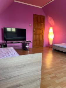 Televiisor ja/või meelelahutuskeskus majutusasutuses Bianka Hostel & Car Rent Budapest