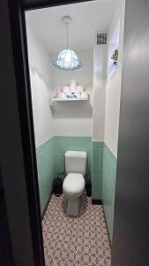 baño con aseo con azulejos verdes y luz en Le Cosy Family Lourdes, en Lourdes 17 fotos más