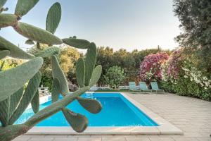 een zwembad in een tuin met een cactus bij Masseria San Nicola Savelletri - B&B in Fasano