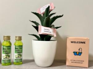 a plant in a white vase next to a box of juice at Studette de 17m2 avec parking privé gratuit Climatisation et petite cuisine in Menton