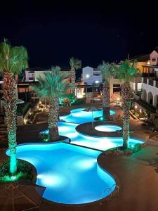 Un grupo de palmeras iluminadas por la noche. en Sunset Seafront Home, en Panormos Rethymno