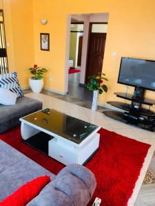 TV a/nebo společenská místnost v ubytování Yonga Apartment