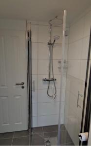 a shower with a glass door in a bathroom at Haus Schwanensee, Wohnung 9 in Bosau