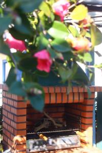 a plant in front of a brick fireplace at Casinha Robusto 
