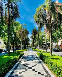 a palm lined street with palm trees on either side at HERMOSO MONOAMBIENTE A POCAS CUADRAS DEL RIO! in Rosario