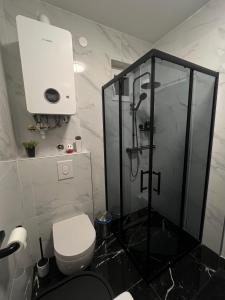 y baño con ducha y aseo. en LuxRooms BJELOVAR, en Bjelovar