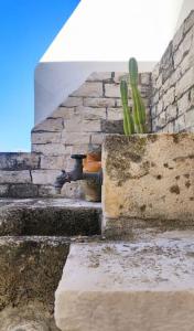 a cactus in a pot next to a stone wall at Casa Mea in Grottaglie