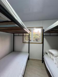 two bunk beds in a room with a window at Rockxy HOSTEL BY JR in Providencia