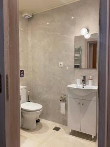 a bathroom with a toilet and a sink and a mirror at Sunny Suite in Perea +19 photos